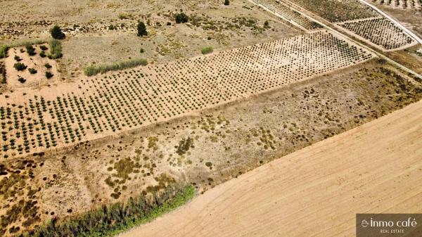 Terreno en Parcela 39 Cabezo Poli.