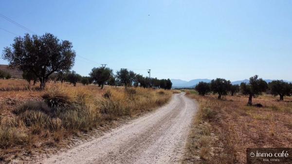 Terreno en Parcela 39 Cabezo Poli.