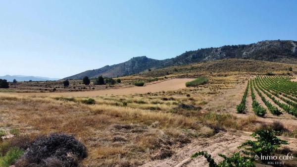 Terreno en Parcela 39 Cabezo Poli.