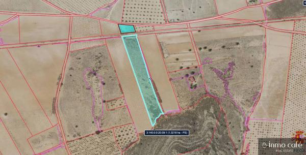 Terreno en Parcela 39 Cabezo Poli.