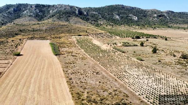Terreno en Parcela 39 Cabezo Poli.
