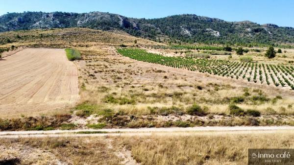 Terreno en Parcela 39 Cabezo Poli.