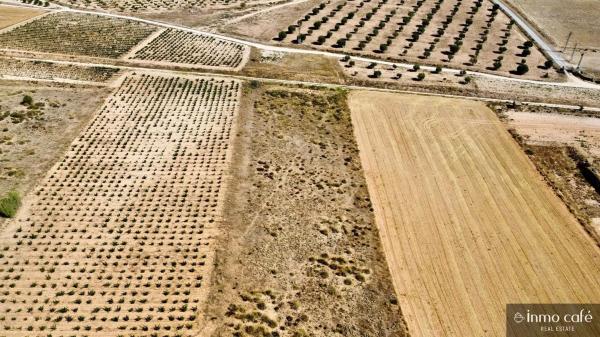 Terreno en Parcela 39 Cabezo Poli.