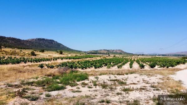 Terreno en Parcela 39 Cabezo Poli.