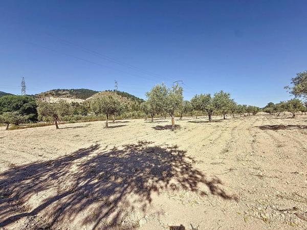 Terreno en via Sense Nom, 11