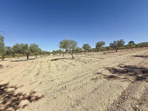 Terreno en via Sense Nom, 11