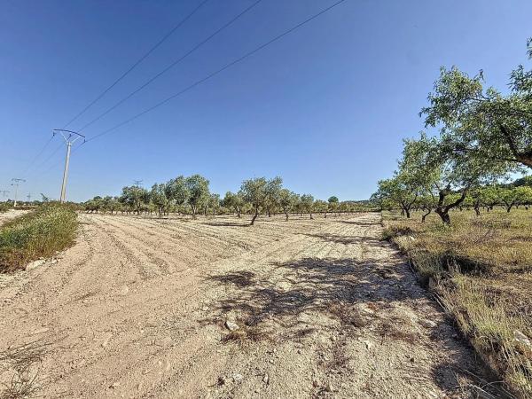 Terreno en via Sense Nom, 11