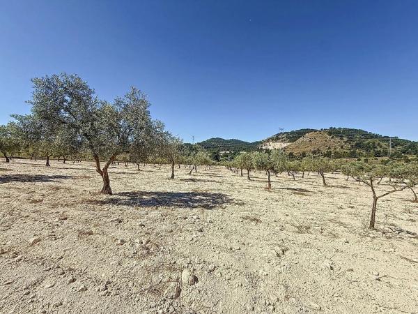 Terreno en via Sense Nom, 11