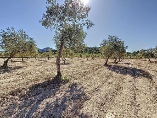 Terreno en via Sense Nom, 11