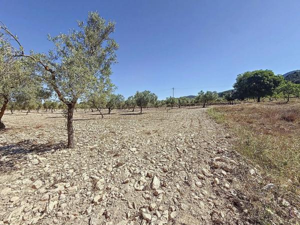 Terreno en via Sense Nom, 11