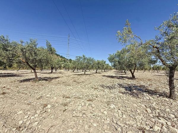 Terreno en via Sense Nom, 11