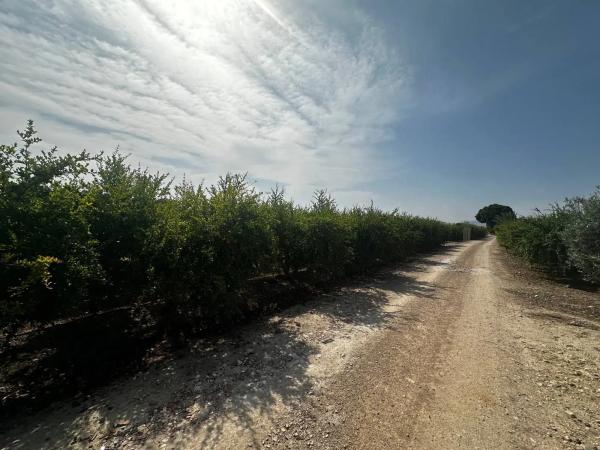 Terreno en Partida Fogaria, 19