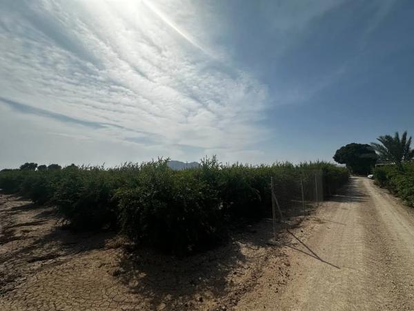 Terreno en Partida Fogaria, 19