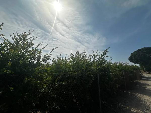 Terreno en Partida Fogaria, 19