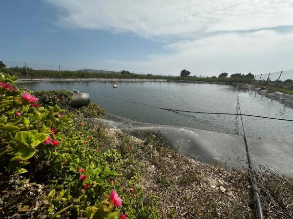 Terreno en Partida Fogaria, 19
