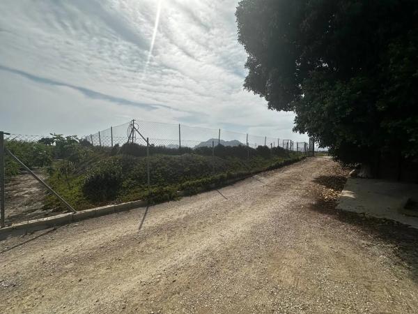 Terreno en Partida Fogaria, 19