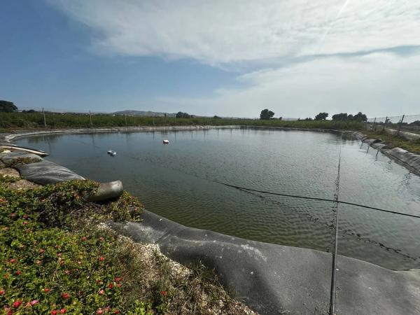 Terreno en Partida Fogaria, 19