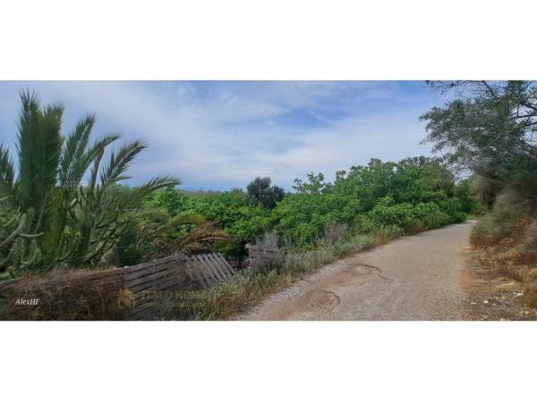 Terreno en calle Alfons Guillem