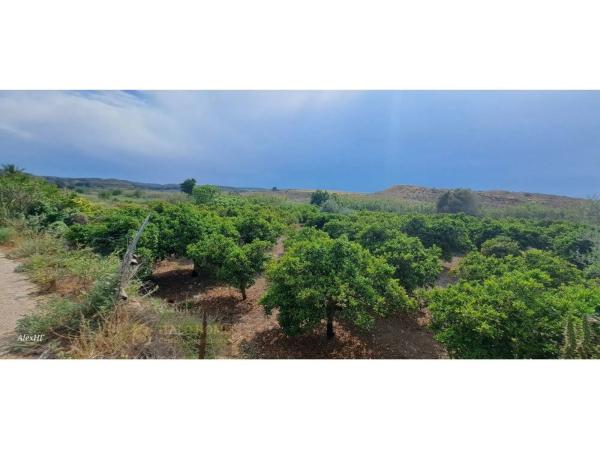 Terreno en calle Alfons Guillem