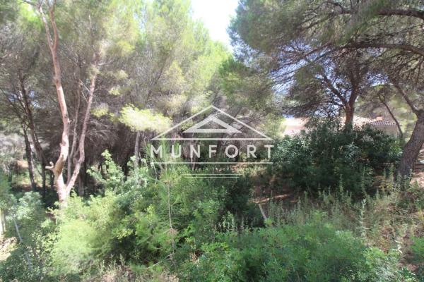 Terreno en Barrio Campoamor