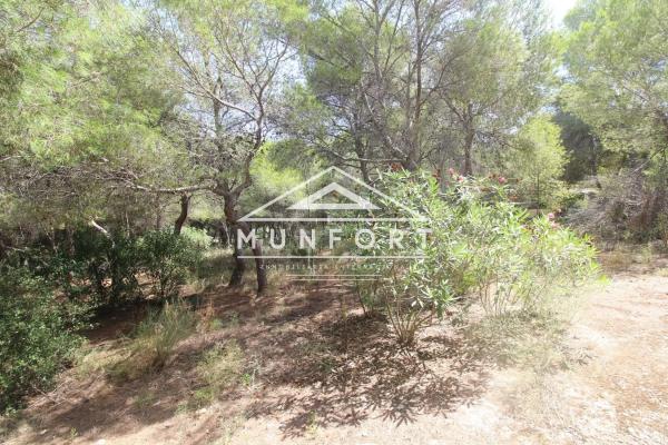 Terreno en Barrio Campoamor