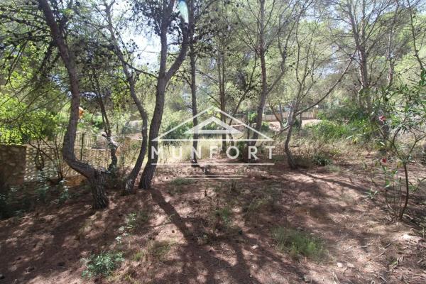 Terreno en Barrio Campoamor