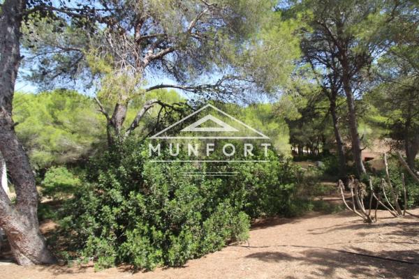 Terreno en Barrio Campoamor