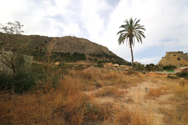 Terreno en Orihuela Ciudad