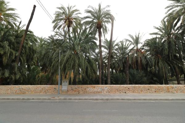 Terreno en Orihuela Ciudad