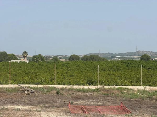 Terreno en Desamparados-Hurchillo-Torremendo