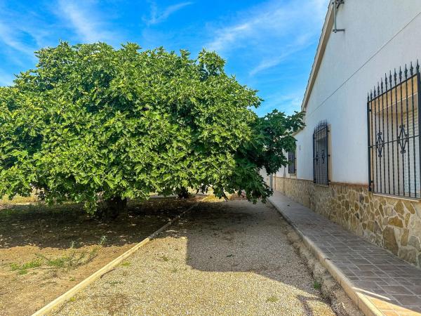 Terreno en avenida la Venta s/n