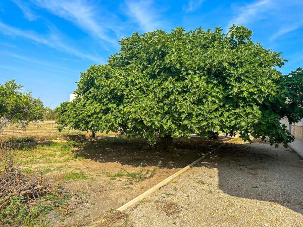 Terreno en avenida la Venta s/n
