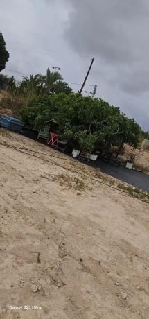 Terreno en partida perleta s/n