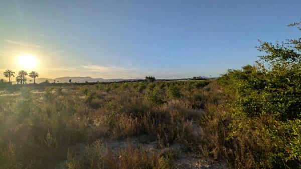 Terreno en Algoda-Matola-Llano de San José