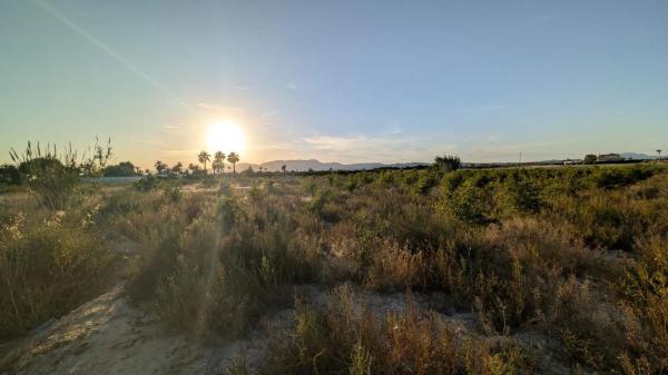 Terreno en Algoda-Matola-Llano de San José