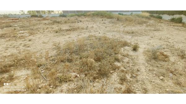 Terreno en camino el Miñarro s/n