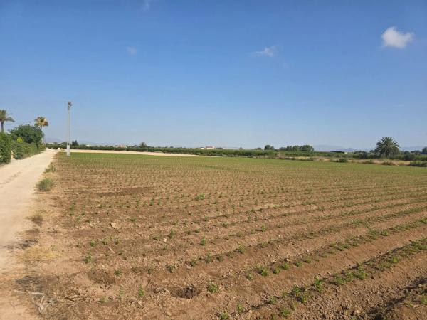 Terreno en via Sense Nom