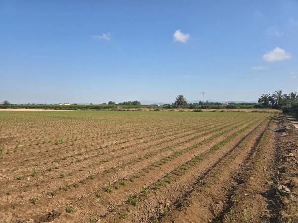 Terreno en via Sense Nom