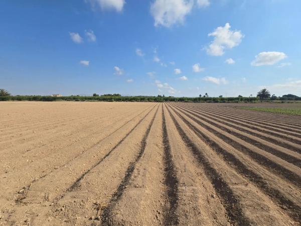 Terreno en via Sense Nom