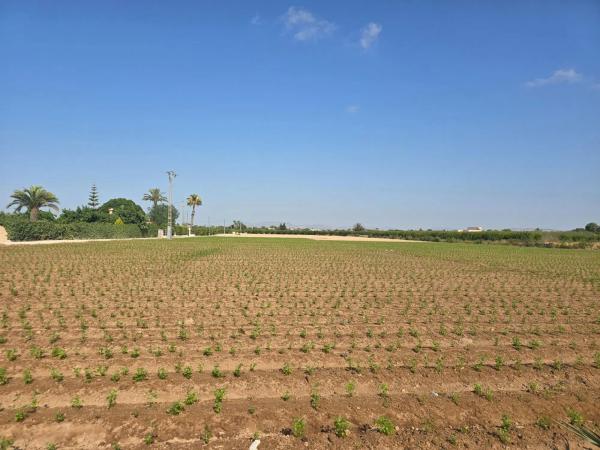 Terreno en via Sense Nom