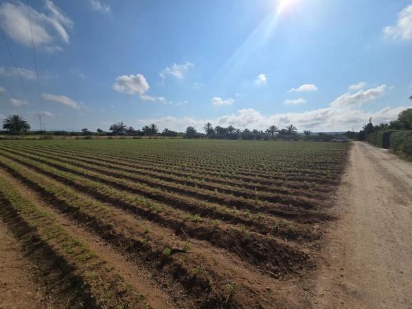 Terreno en via Sense Nom