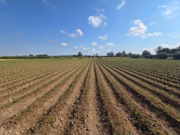 Terreno en via Sense Nom