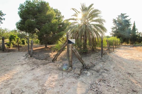 Terreno en Partida La Marina, 2029 a