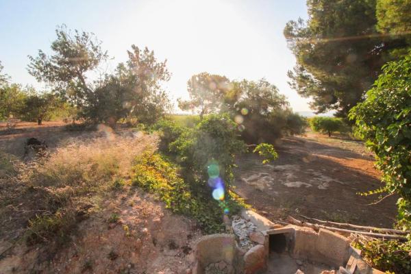 Terreno en Partida La Marina, 2029 a