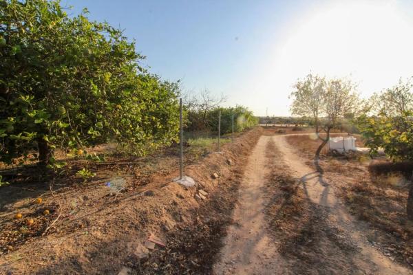 Terreno en Partida La Marina, 2029 a