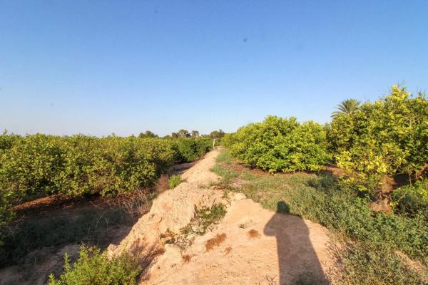 Terreno en Partida La Marina, 2029 a