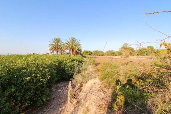 Terreno en Partida La Marina, 2029 a