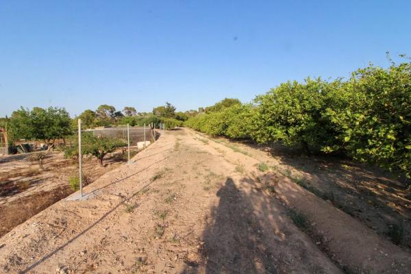 Terreno en Partida La Marina, 2029 a