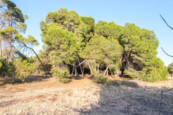 Terreno en Partida La Marina, 2029 a