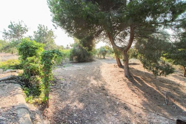 Terreno en Partida La Marina, 2029 a